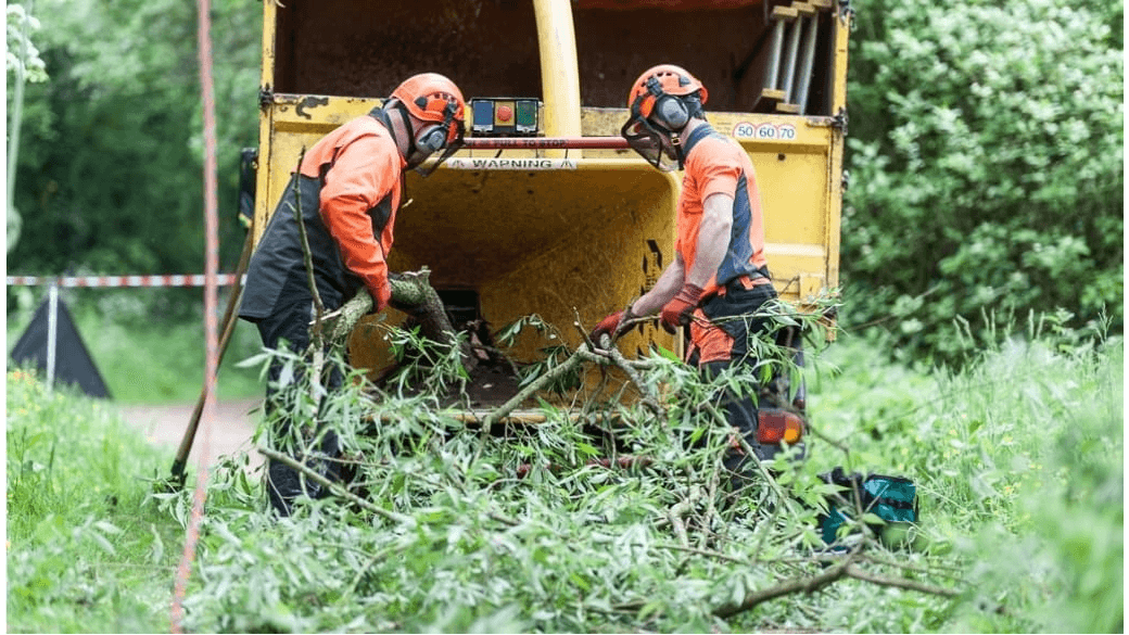First Choice Lawn & Tree Service