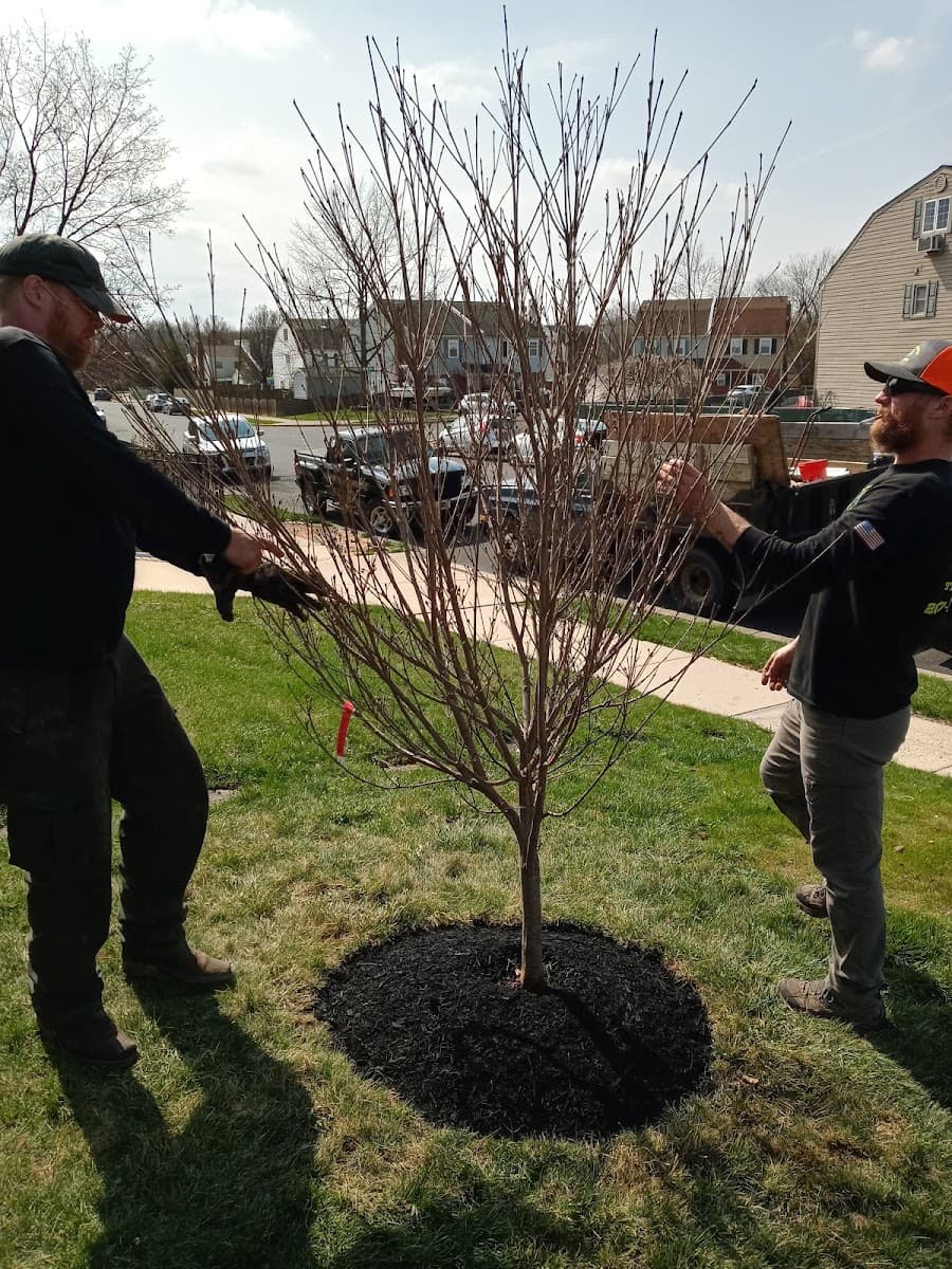 Able brothers tree and plant health care