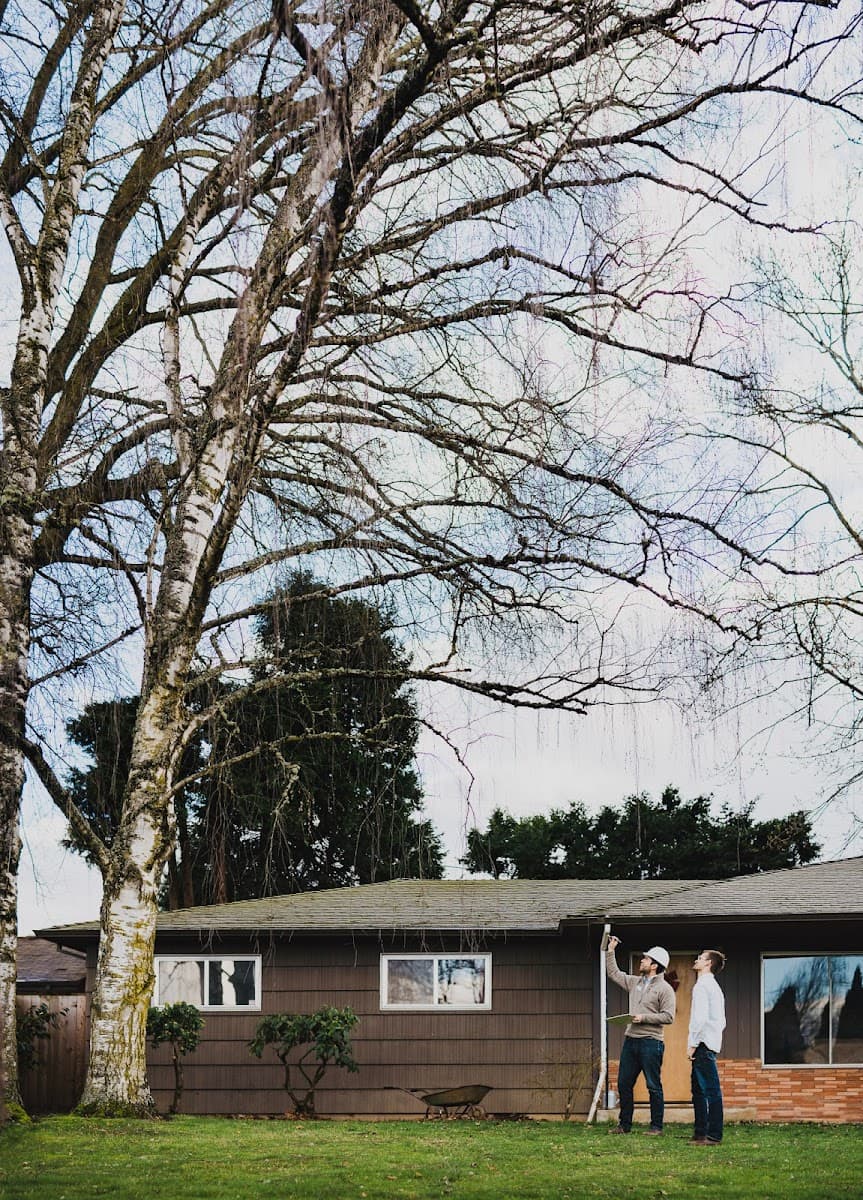 Mountain View Tree Service