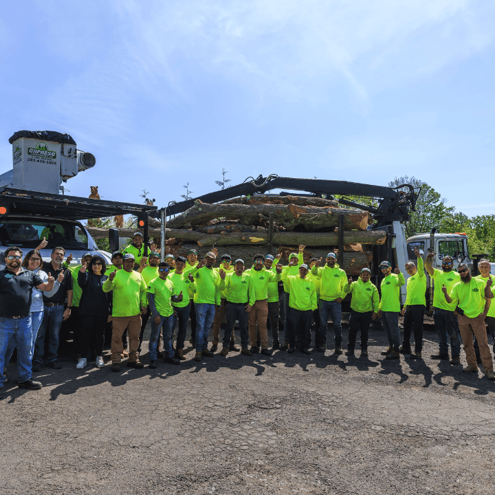 Capasso Landscaping & Tree Removal