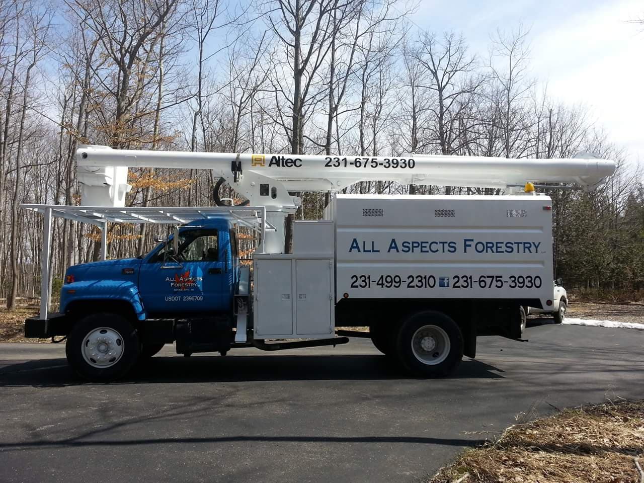 All Aspects Forestry LLC