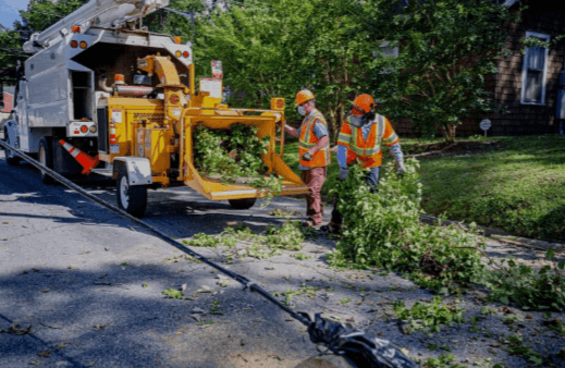 Tree service pro Fort Wayne