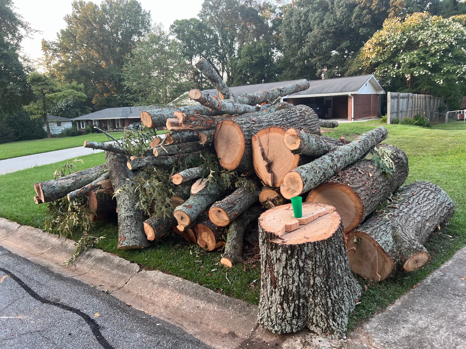 Atlanta Tree Movers LLC