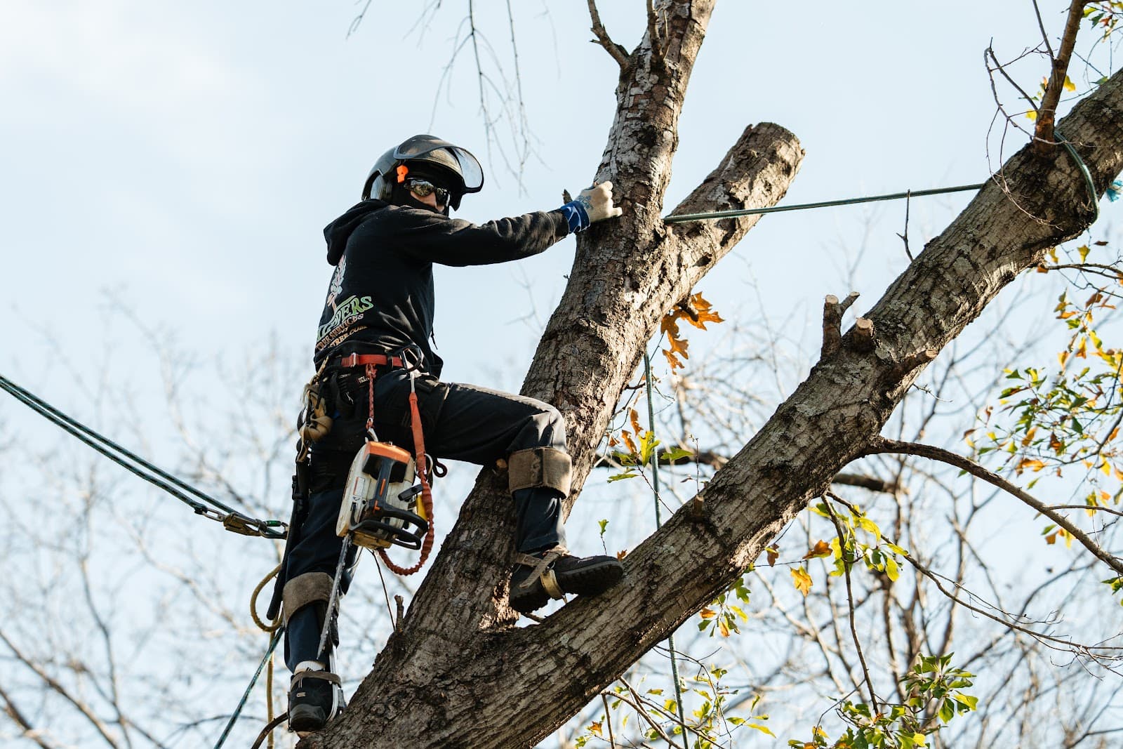 Chippers Tree Service