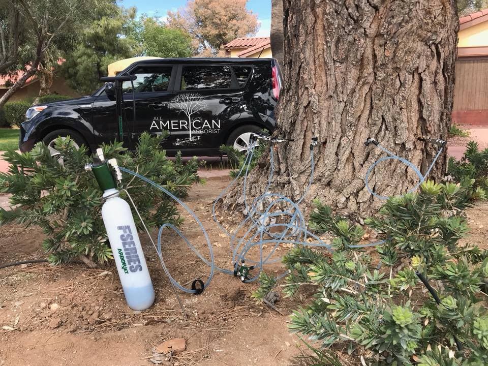 All American Arborist