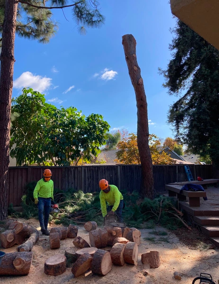 Majestic Tree Service