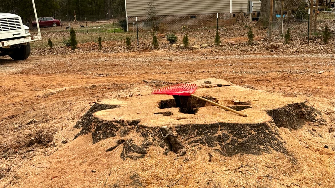 BRIGHT’S CAROLINA TREE SERVICE LLC