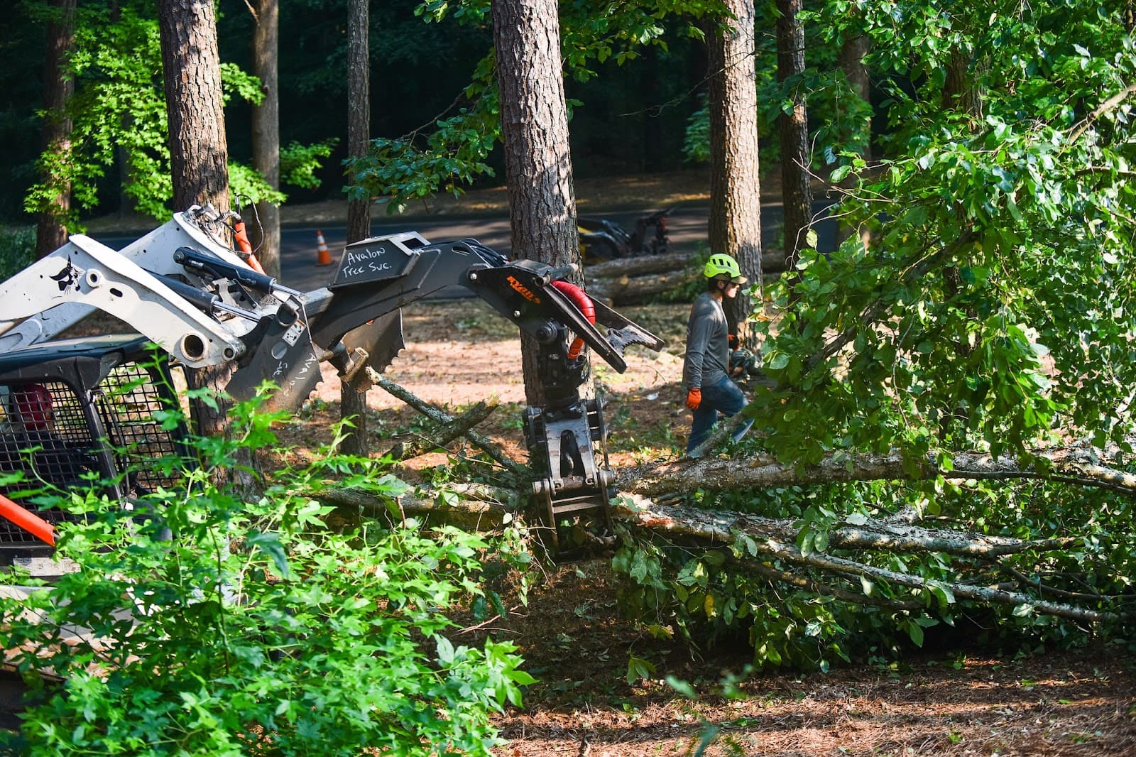 AVALON TREE SERVICES LLC.