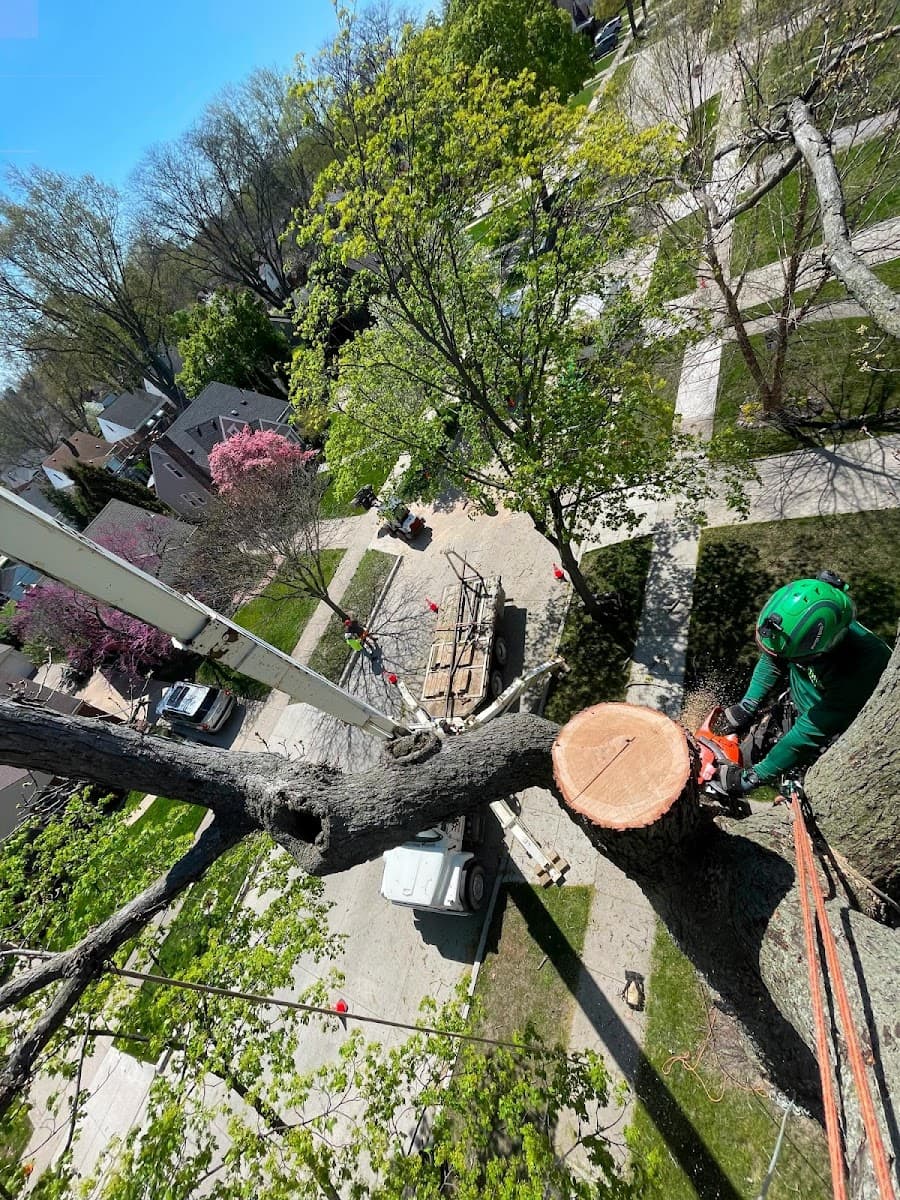 Southern Pines Tree Service