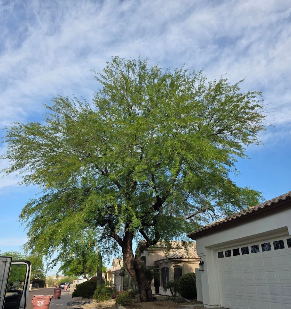 Premium Tree Care LLC