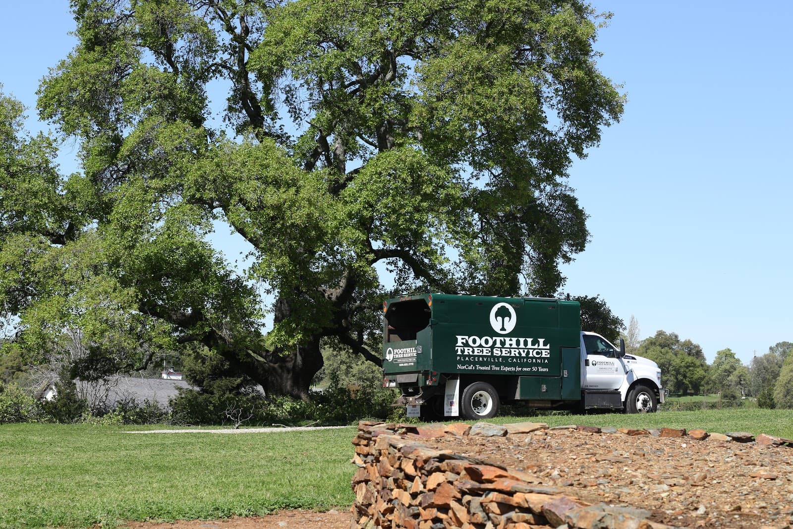 Foothill Tree Service