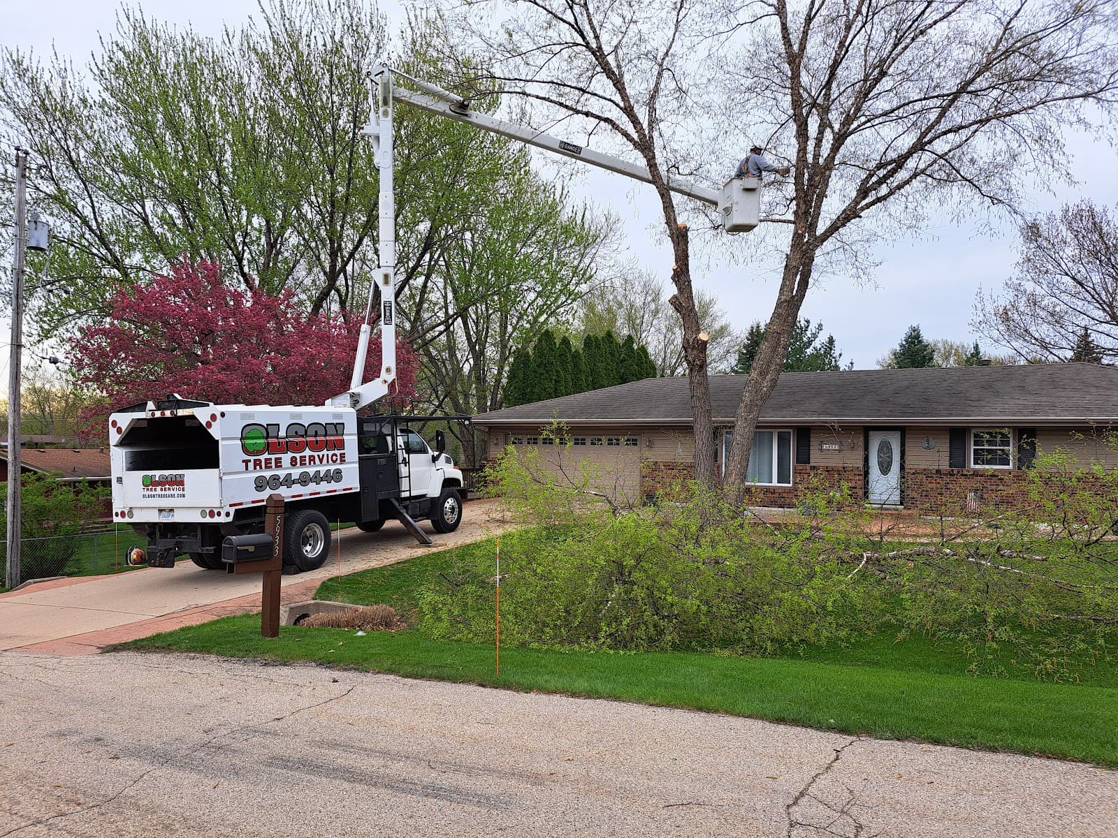 Olson Tree Service, Inc
