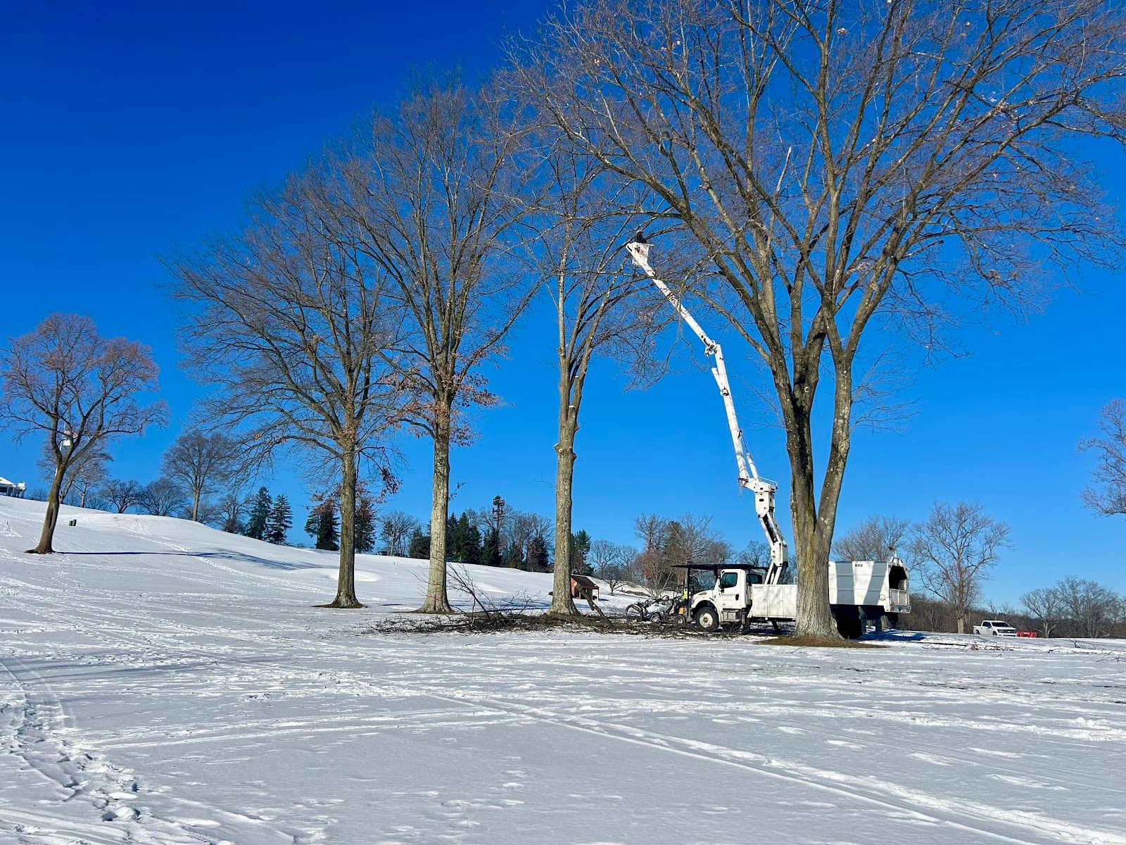 Vaughan's Tree Services