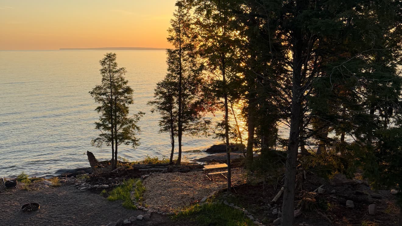 Superior Tree Removal