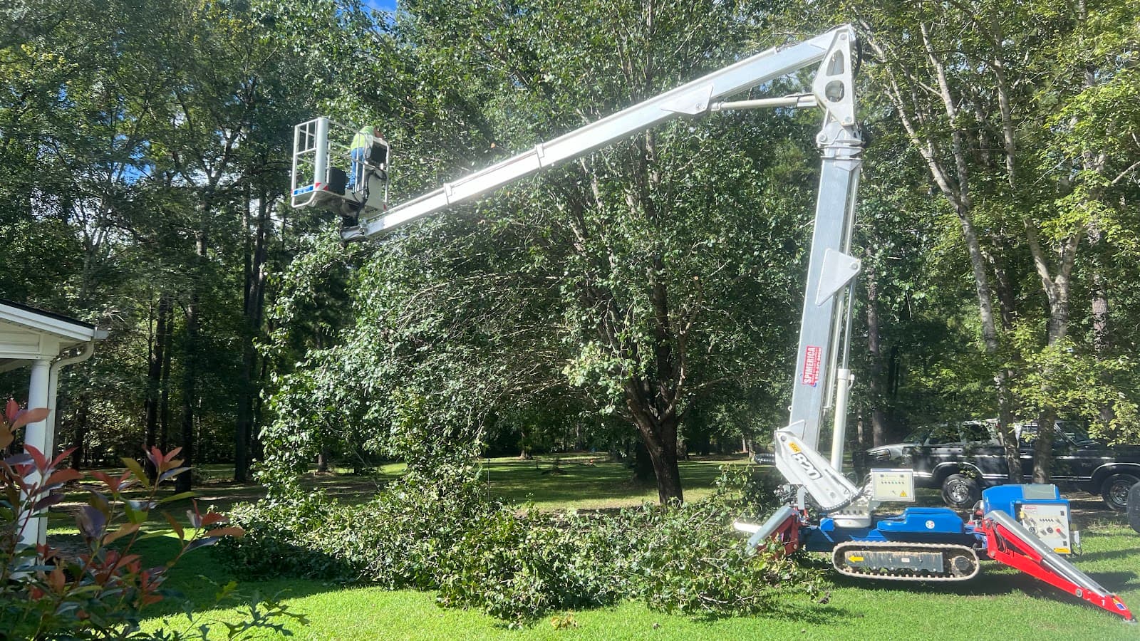 CM Tree Services