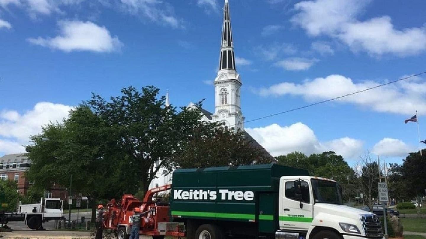 Keith's Tree Service