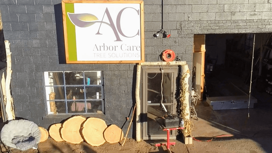 Arbor Care Tree Solutions