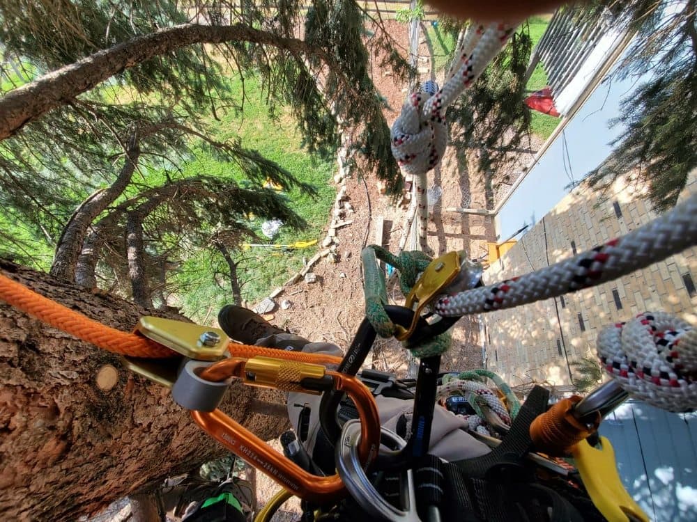 Wolverine Arbor Services