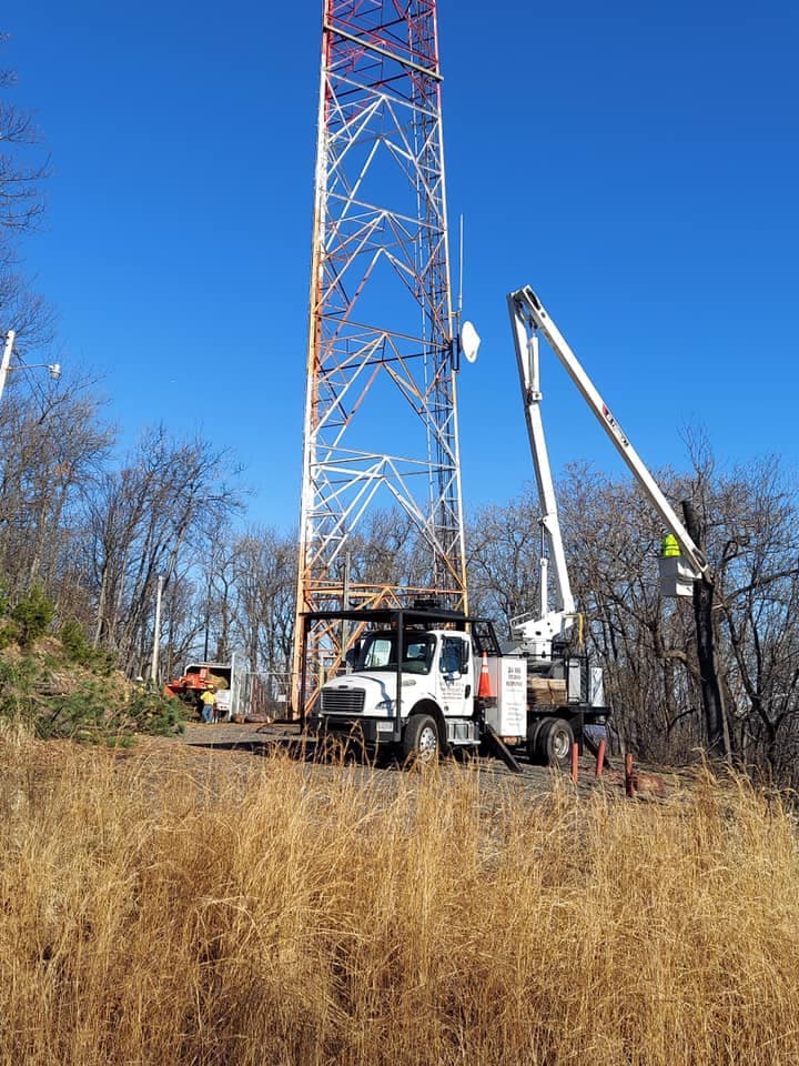 Virginia Tree Specialist