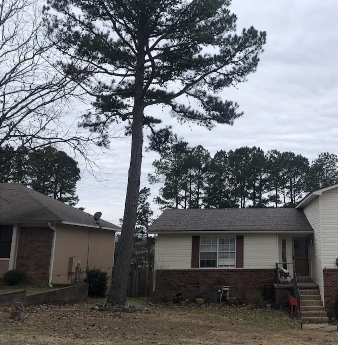 JLM Tree Servicing & Roofing