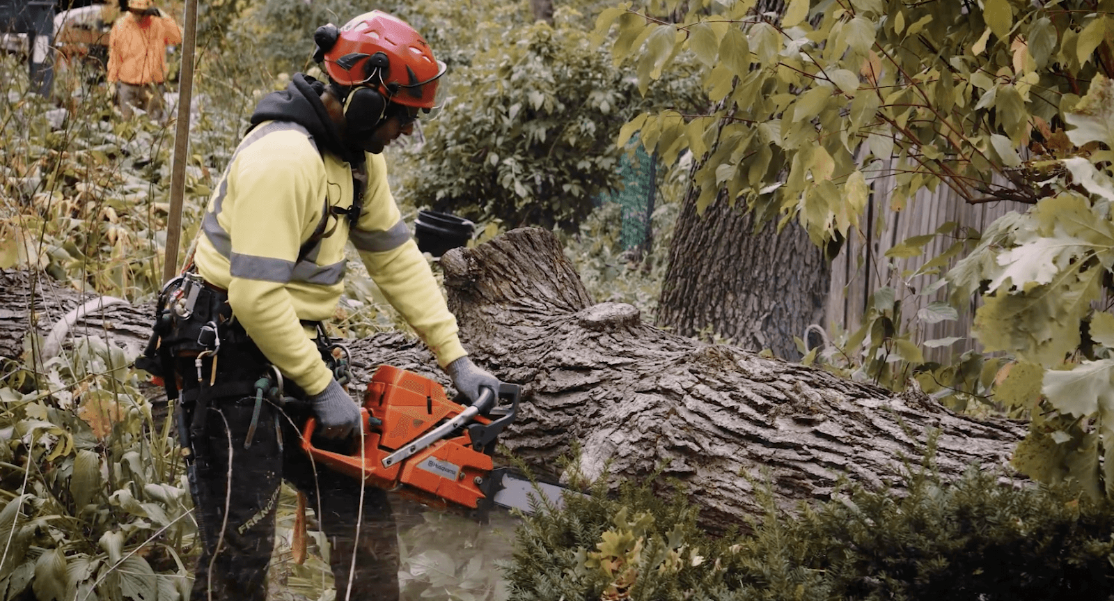 Pro-Tree Outdoor Services