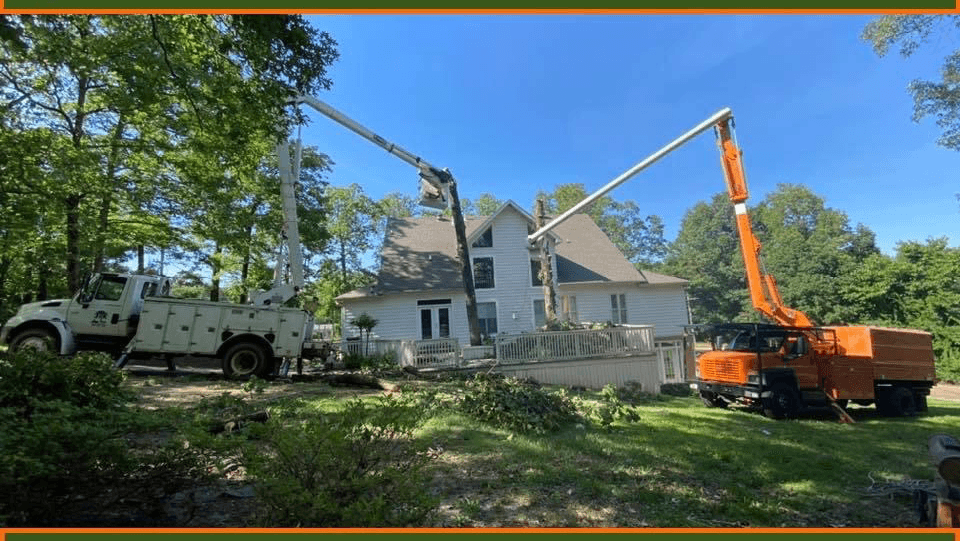 J & K Lawn & Tree Service