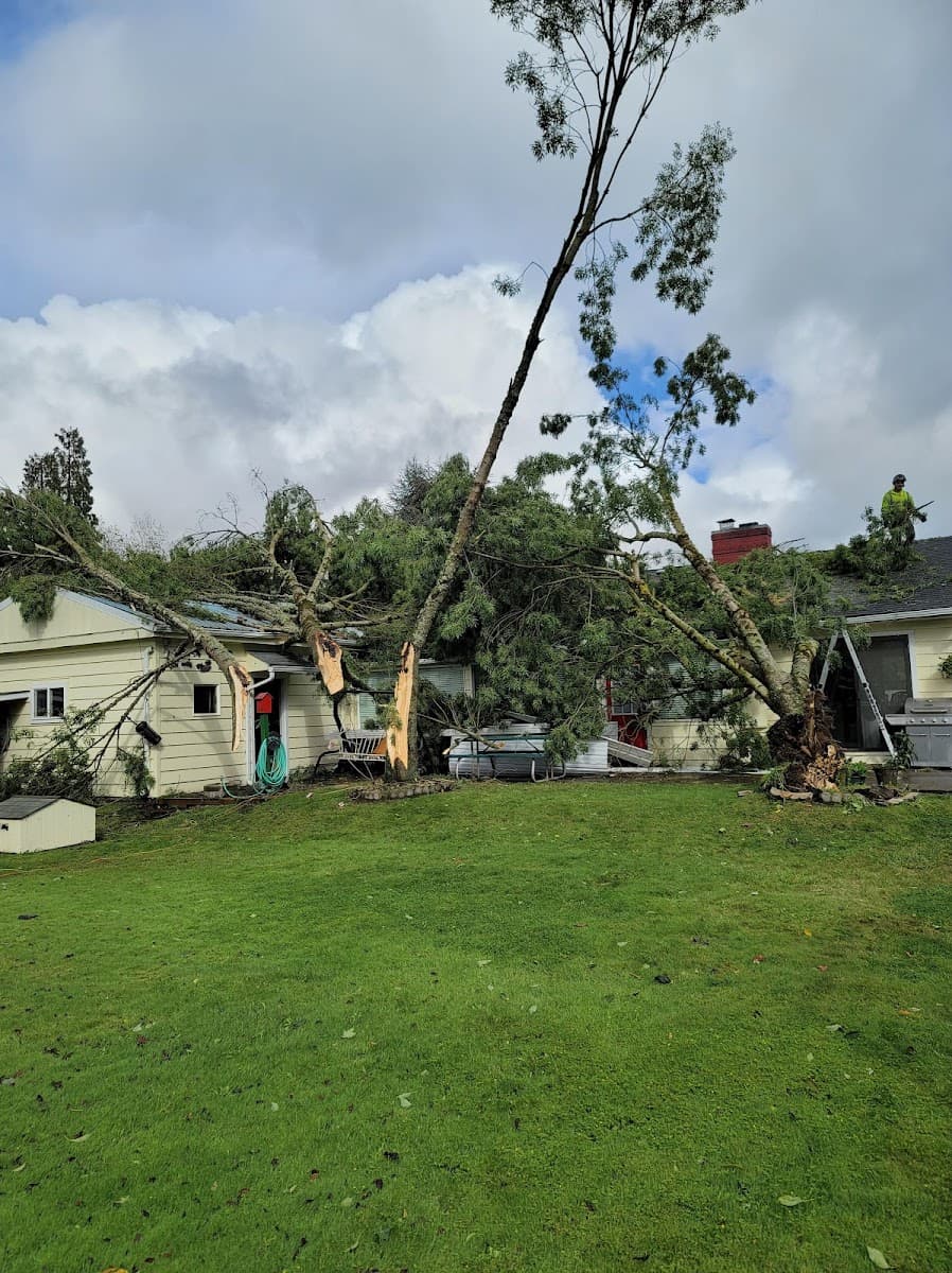 Oregon Tree Professionals LLC