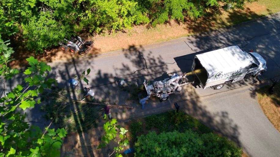 Campbell’s Tree Experts