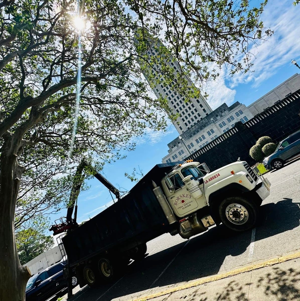 Borskey Tree Service