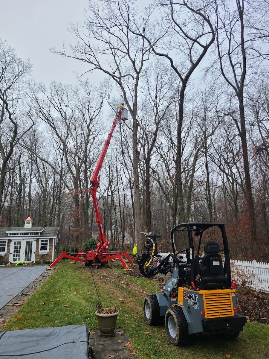 Frank's Arborcare LLC