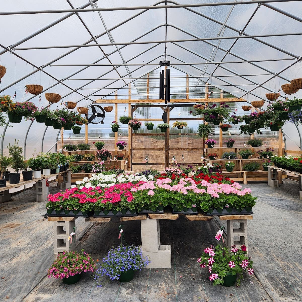 Brothers Tree Service and Garden Center