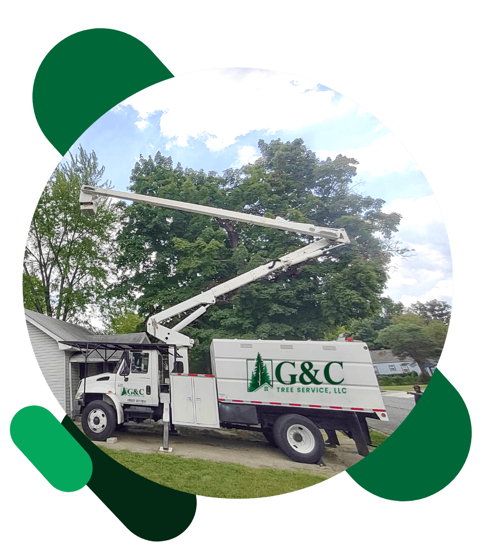G&C Tree Service, LLC