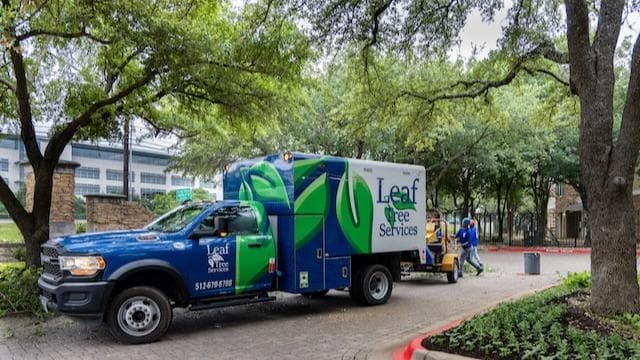 Leaf Tree Services