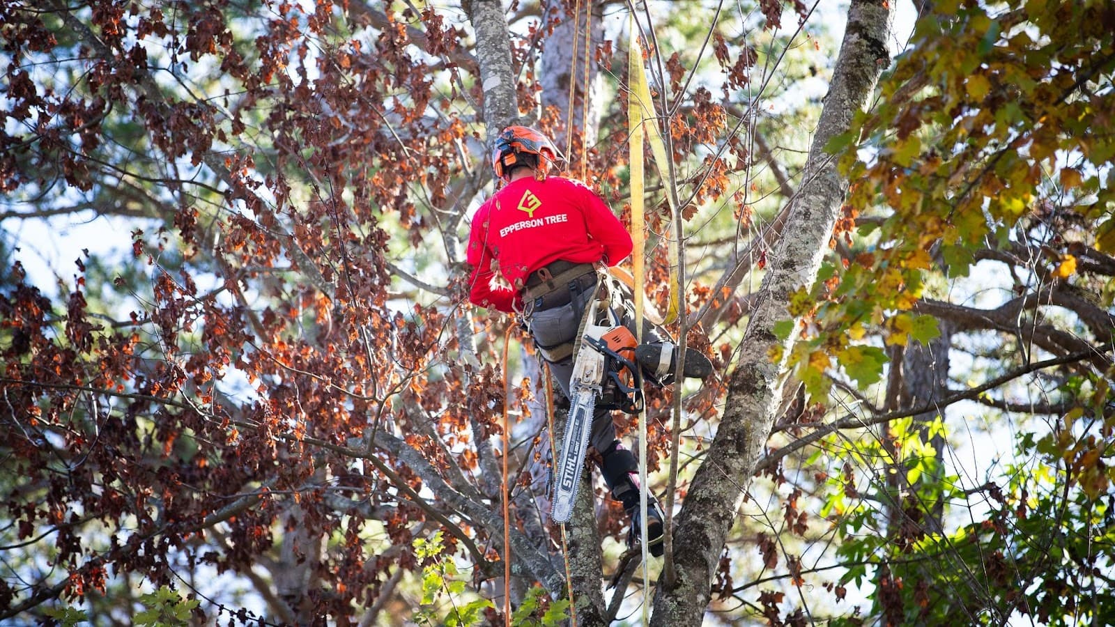 Epperson Tree Service