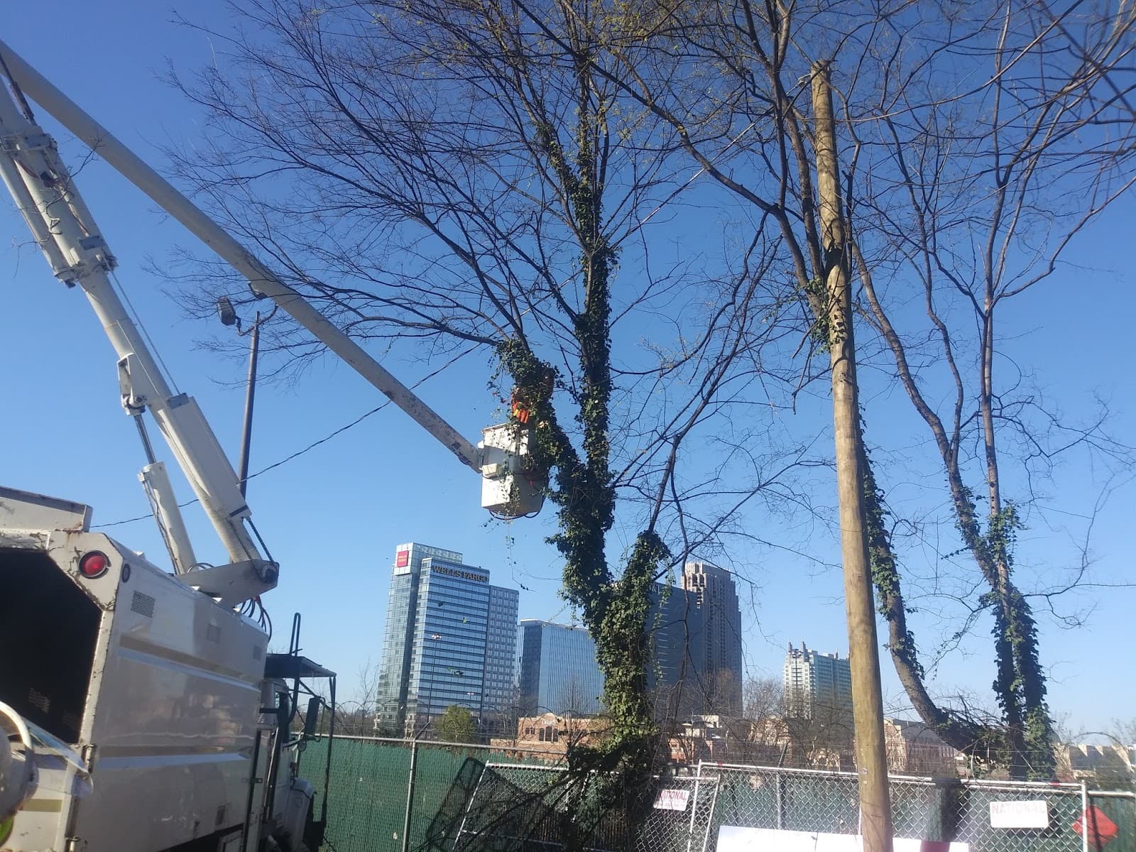 G & G Tree Service