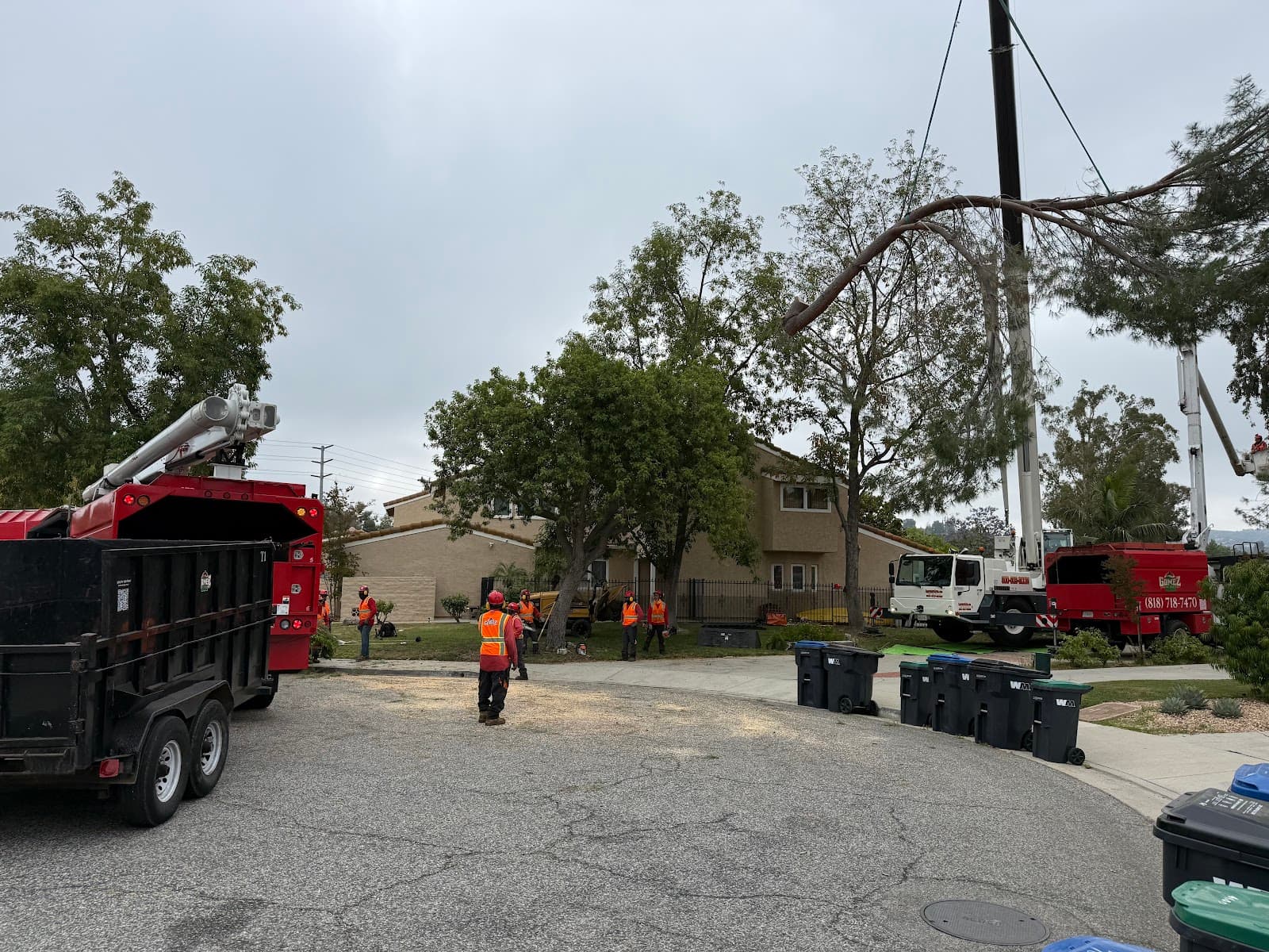 Gomez Landscape & Tree Care, Inc.