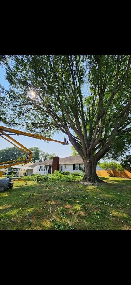 Chattanooga Tree Service Inc.