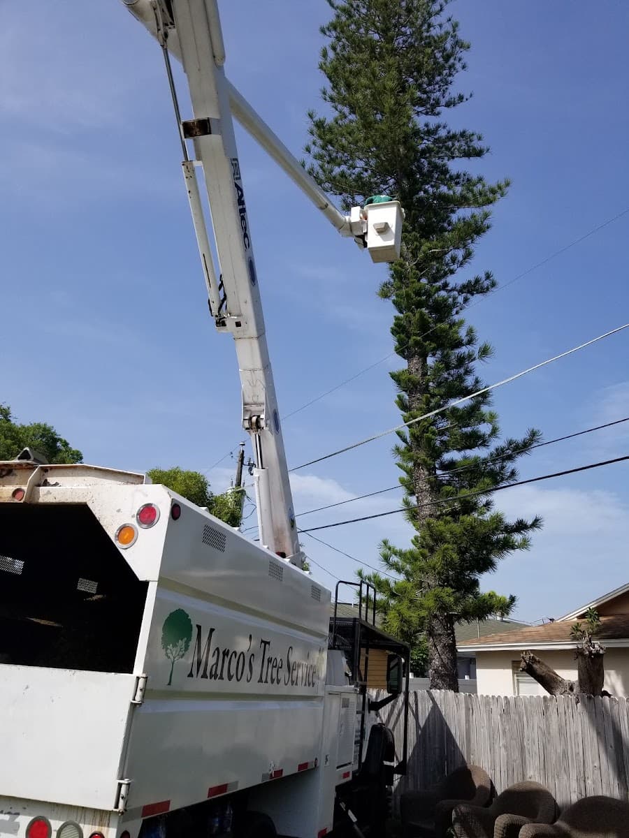 Marco Tree Service , LLC
