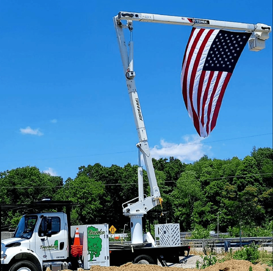 TreeWorx Tree Service