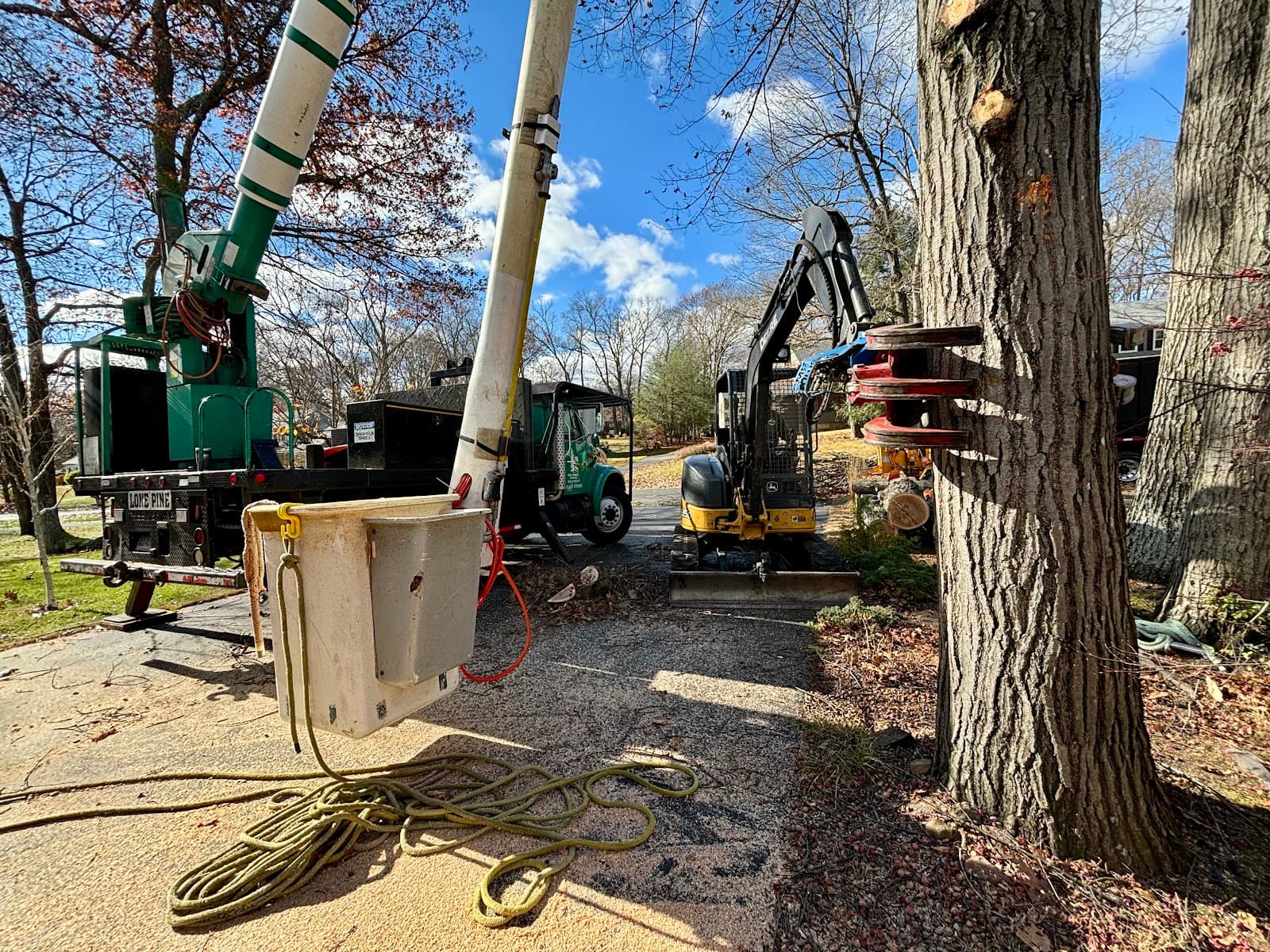 Lone Pine Tree Service