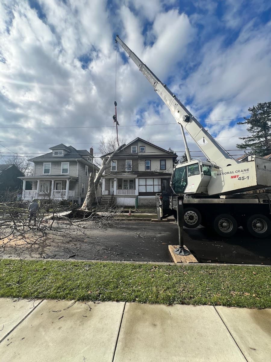 Prestige Tree Service