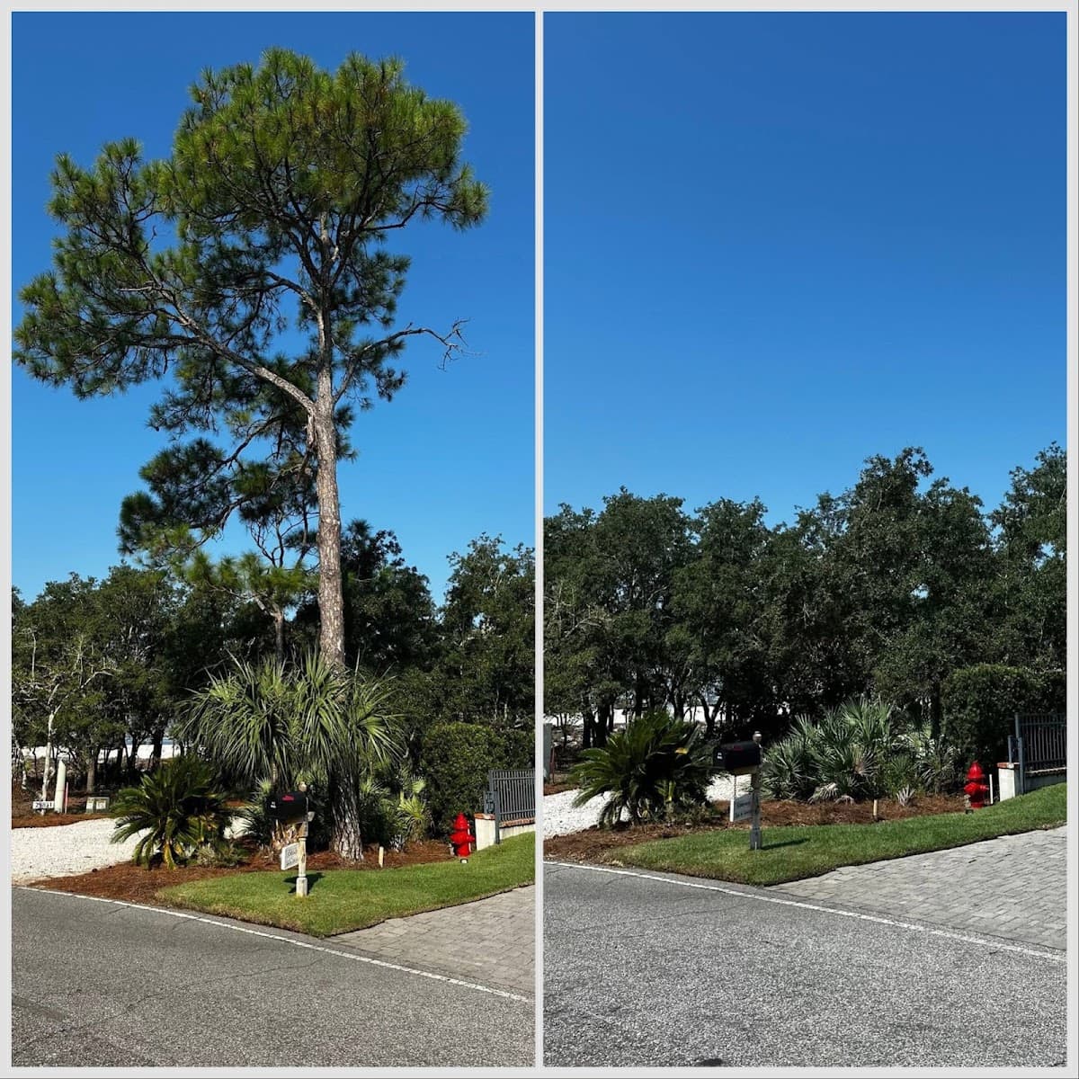 Gulf Coast Tree and Land Services