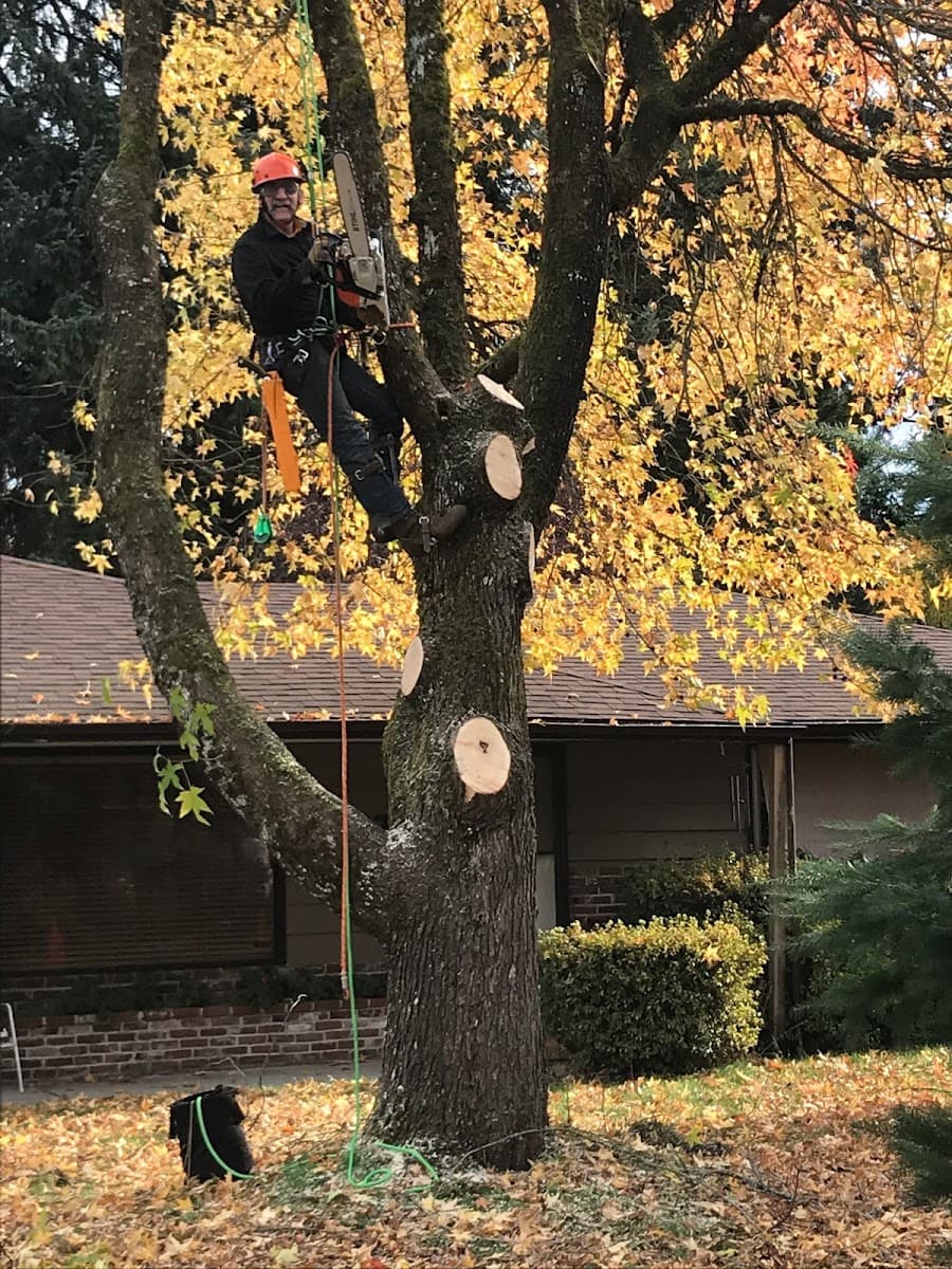 Tree Masters, Inc.