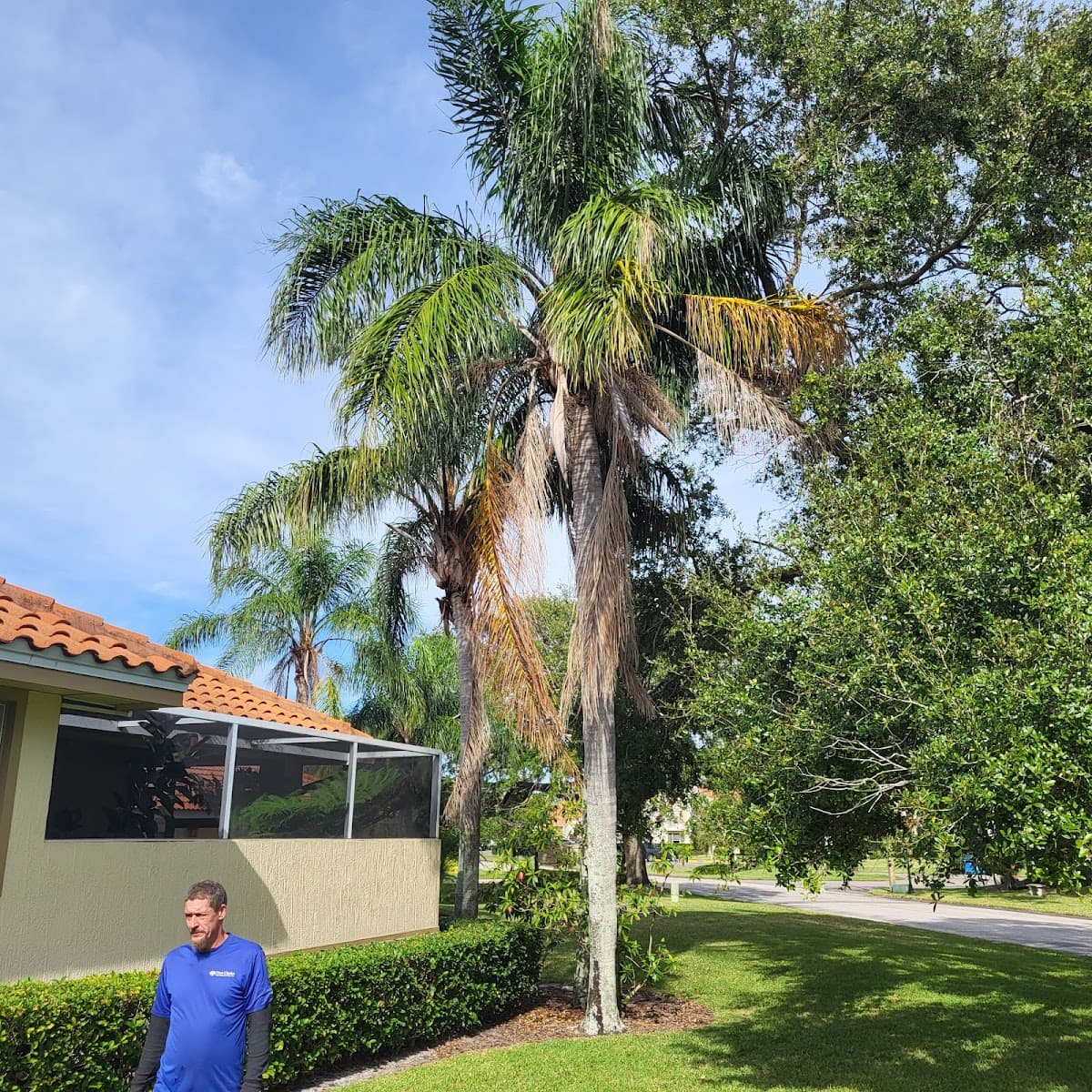 Elevation Environmental Services