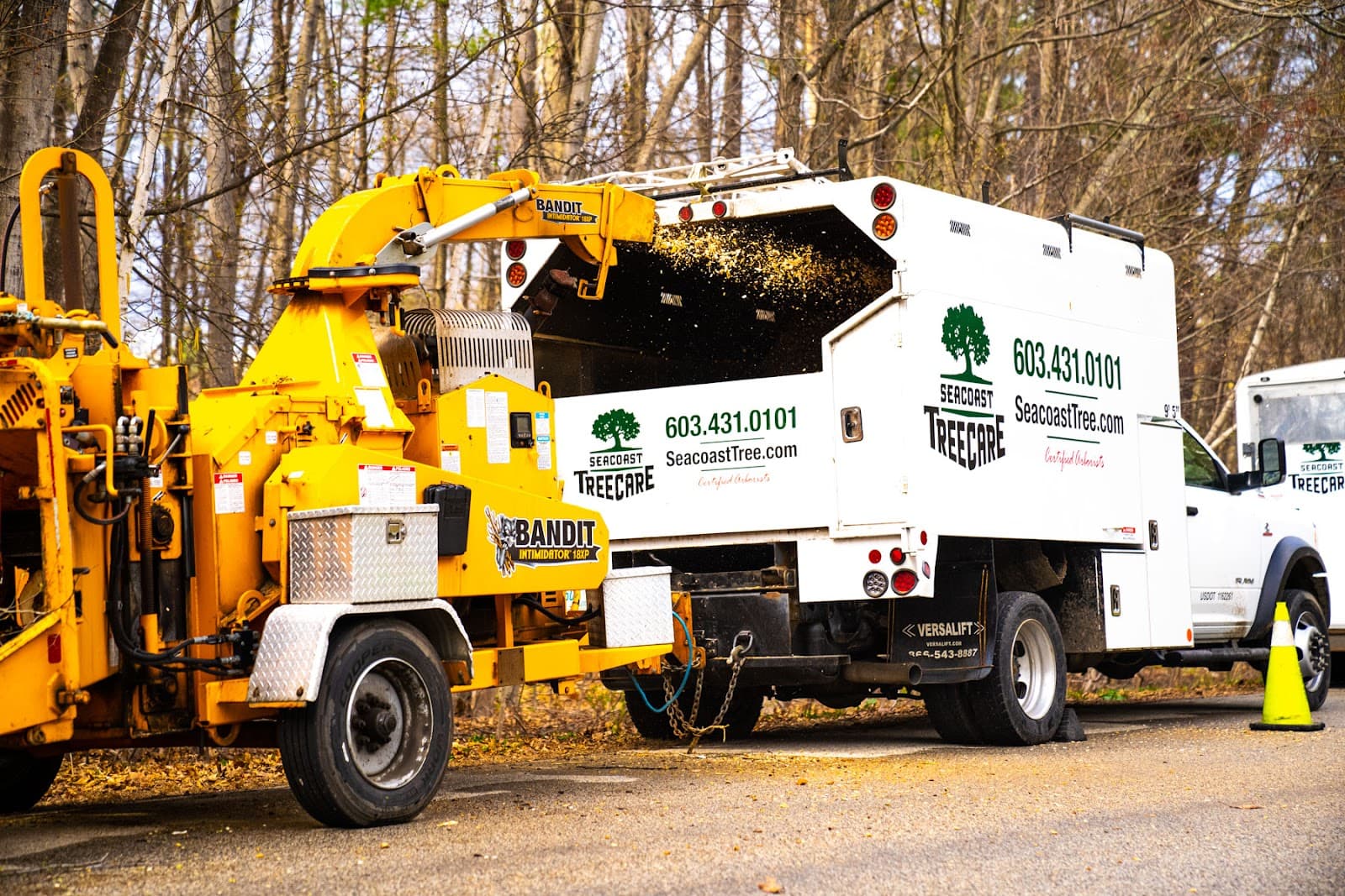 Seacoast Tree Care