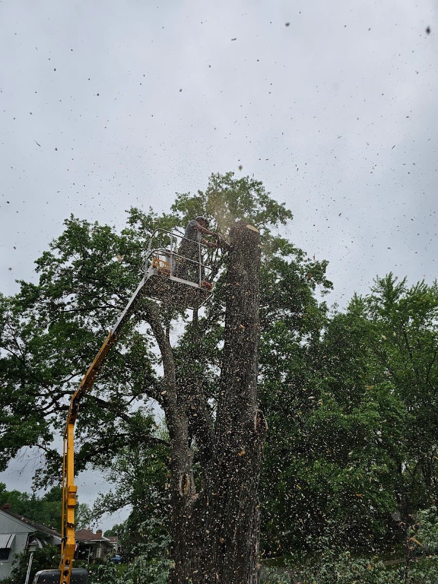 Tre’s Tree Services LLC