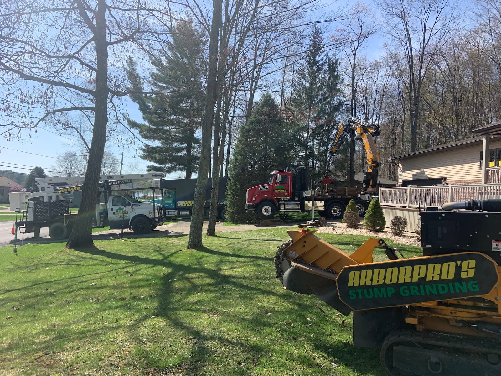 Arbor Pro's Tree Service