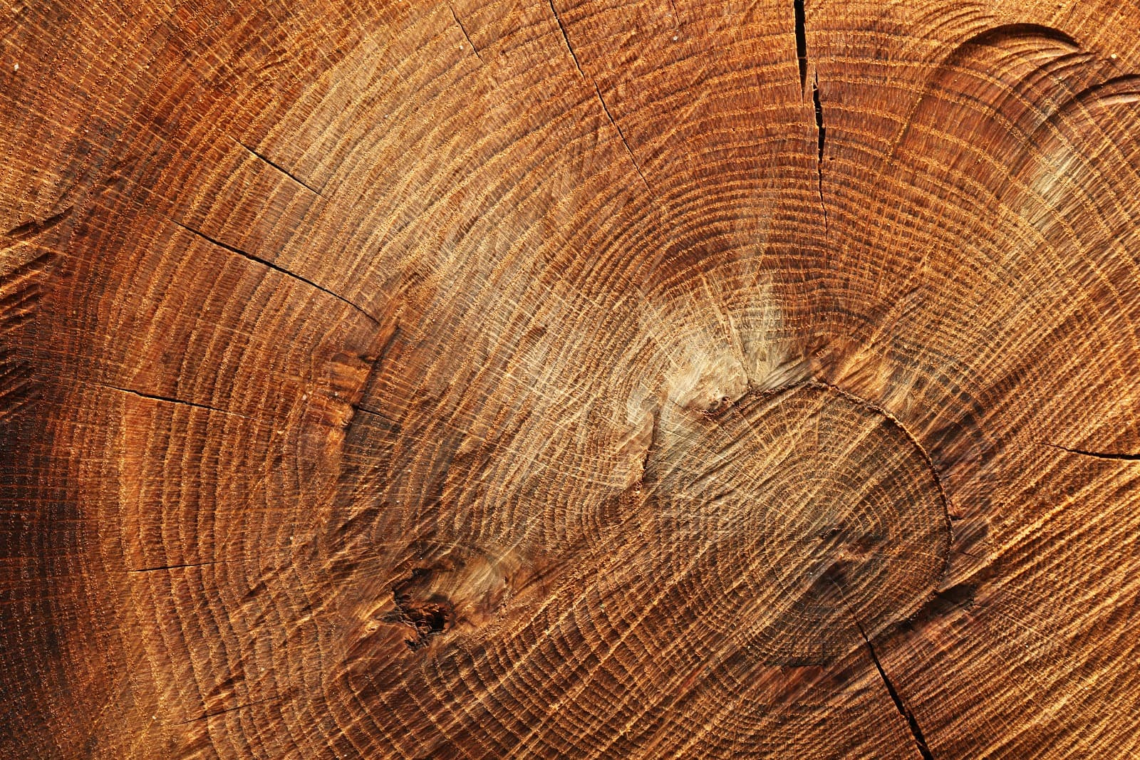 Tree Health Management