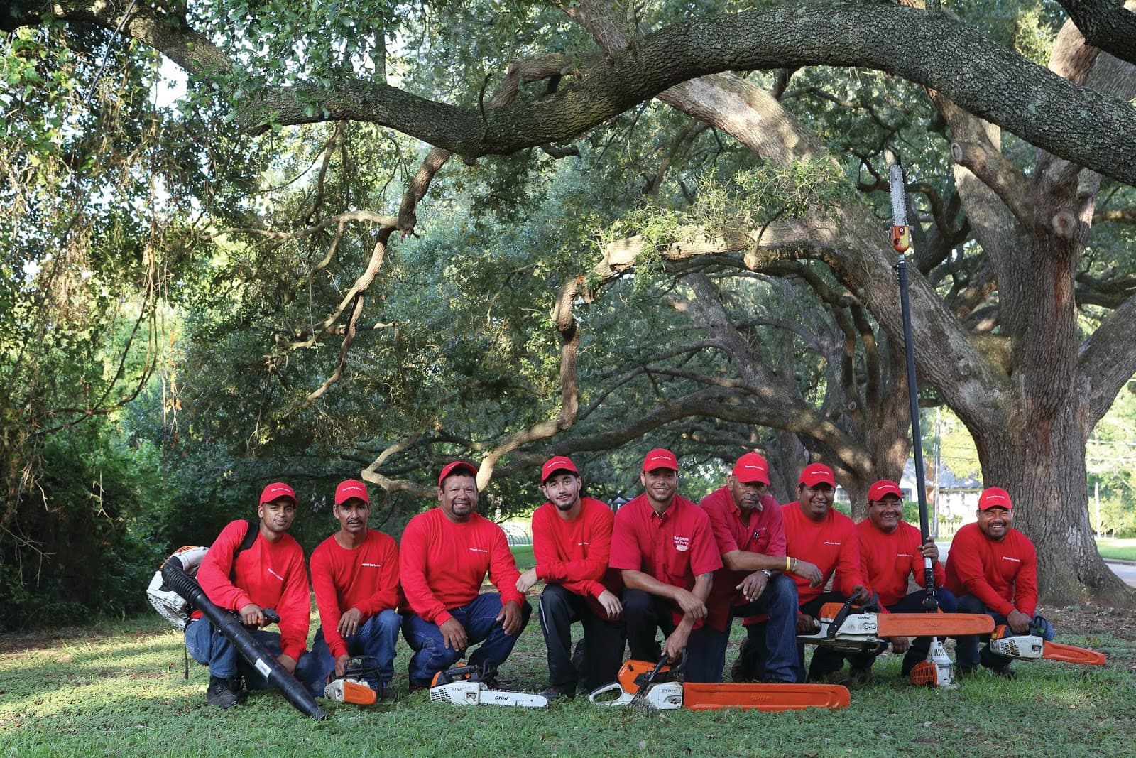 Simpsons Tree Service