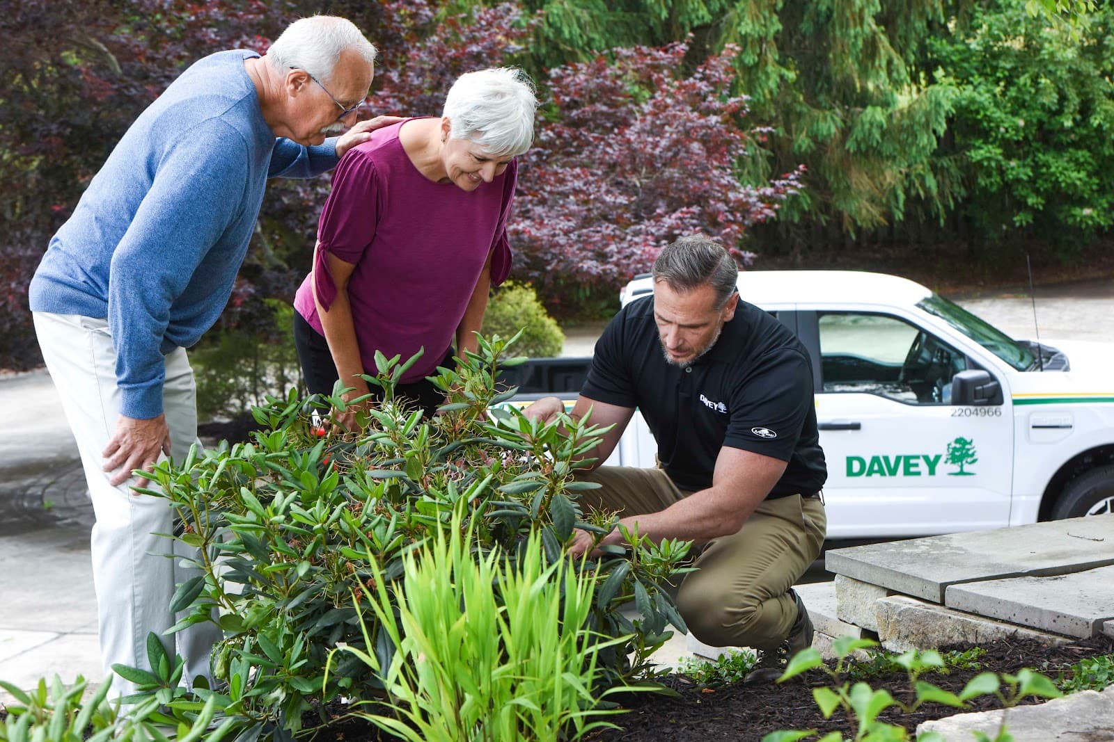 The Davey Tree Expert Company
